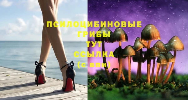 COCAINE Киреевск